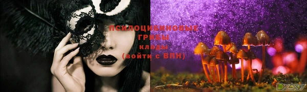 спайс Алзамай