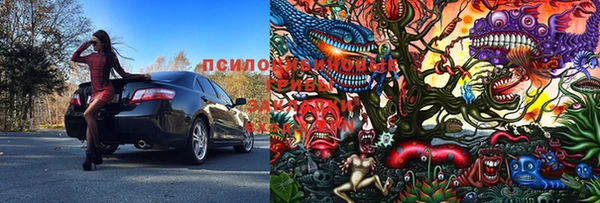 спайс Алзамай