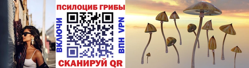 купить закладку  Кирс  Псилоцибиновые грибы MAGIC MUSHROOMS 